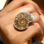 Bague avec ammonite