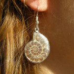 Boucles d'oreilles en ammonite