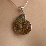 Pendentif en ammonite